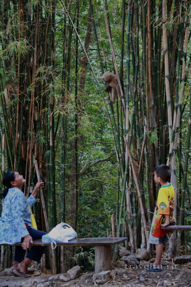 Водопад Эраван. Таиланд. Женщина и обезьяна